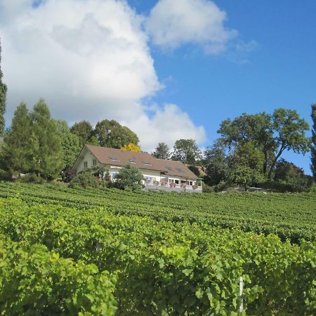 Domaine Beauregard Rolle Exterior foto