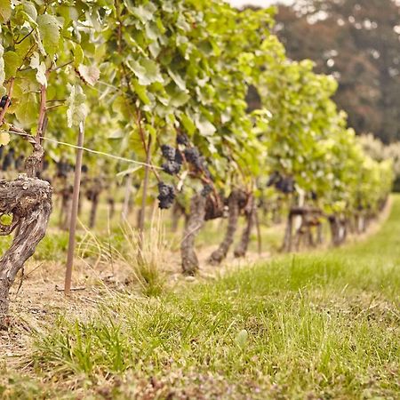 Domaine Beauregard Rolle Exterior foto